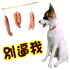[LINEスタンプ] I AM A-DAIN