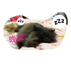 [LINEスタンプ] Home with 2 cats.