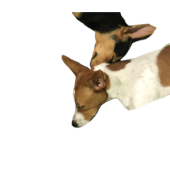 [LINEスタンプ] shhh and gobo.