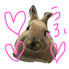 [LINEスタンプ] うさぎの気もち