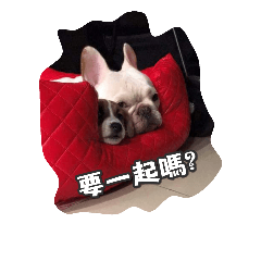 [LINEスタンプ] JohnJohnDyson
