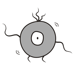 [LINEスタンプ] Singular creatures-Poo
