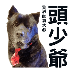 [LINEスタンプ] My Dog Say(1)