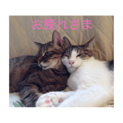 [LINEスタンプ] みー＆りく