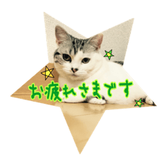 [LINEスタンプ] うちのむう2