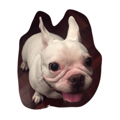 [LINEスタンプ] MooChaboo
