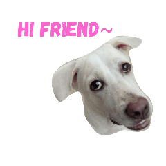 [LINEスタンプ] My name's Jued
