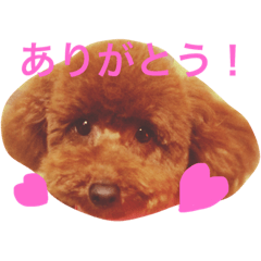 [LINEスタンプ] Hana's  Stamp