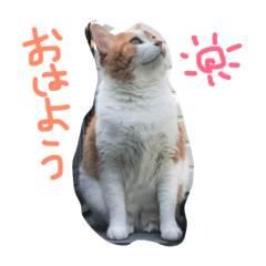 [LINEスタンプ] サティとイオン