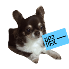 [LINEスタンプ] クルミです