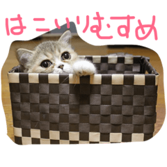 [LINEスタンプ] べにべに2