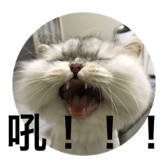 [LINEスタンプ] Petsss
