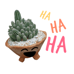 [LINEスタンプ] Cactus by MeBuddestの画像（メイン）