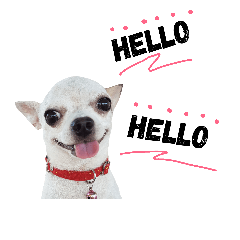 [LINEスタンプ] Bobby Lovely Dog v.1