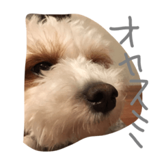 [LINEスタンプ] めいちゃんです