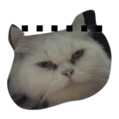 [LINEスタンプ] luka meow ma aang