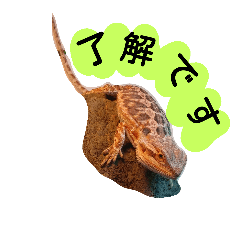 [LINEスタンプ] うちのアレックス