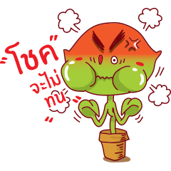 [LINEスタンプ] Boon Chok