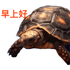 [LINEスタンプ] Red-legged diary