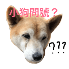 [LINEスタンプ] MACO is me