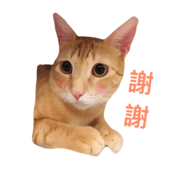 [LINEスタンプ] Hululu