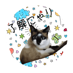 [LINEスタンプ] にゃんわんスタンプ