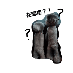 [LINEスタンプ] dog.........