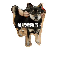 [LINEスタンプ] Zaizai＆Mini