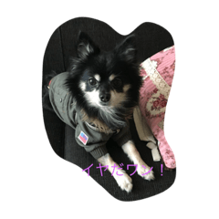 [LINEスタンプ] Romeo0426