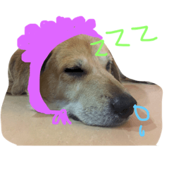 [LINEスタンプ] Wow wow dogs