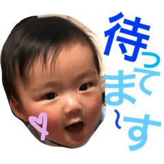 [LINEスタンプ] あおはの毎日