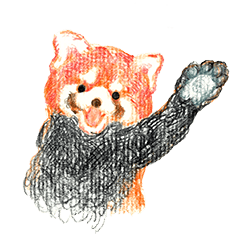 [LINEスタンプ] Raccoon's daily life