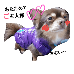 [LINEスタンプ] i  love dog