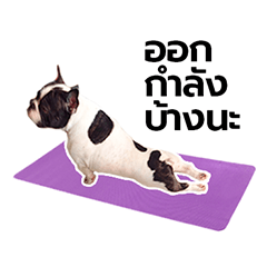 [LINEスタンプ] Munbod French Bulldog