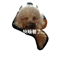 [LINEスタンプ] very  cute animal