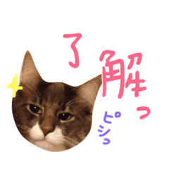 [LINEスタンプ] Baron様