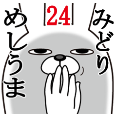 [LINEスタンプ] みどりが使う面白名前スタンプ24