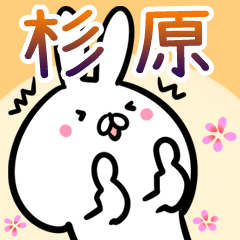 [LINEスタンプ] 杉原さん専用40個入♪名前スタンプ♪