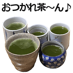 [LINEスタンプ] 実写！緑茶