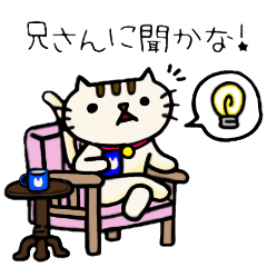 [LINEスタンプ] 仮想通貨大好き猫ピンキー3