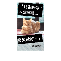 [LINEスタンプ] cat's murmur