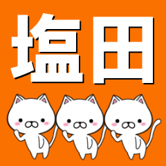 [LINEスタンプ] 超★塩田(しおだ・しおた・えんだ)なネコ