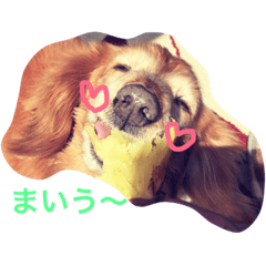 [LINEスタンプ] わん①