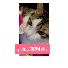 [LINEスタンプ] wenxin