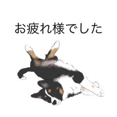 [LINEスタンプ] DOGSTREET stamp