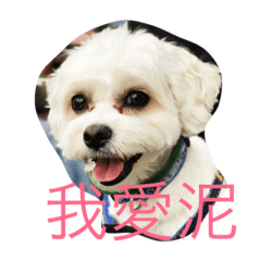 [LINEスタンプ] DuoDuoDog