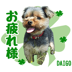 [LINEスタンプ] 塩家のDAIGO