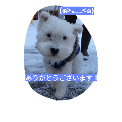 [LINEスタンプ] ayanken.ver4の画像（メイン）