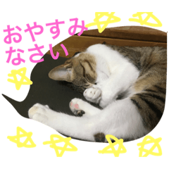 [LINEスタンプ] ナッツくんスタンプ