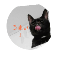 [LINEスタンプ] nekoplUsiti